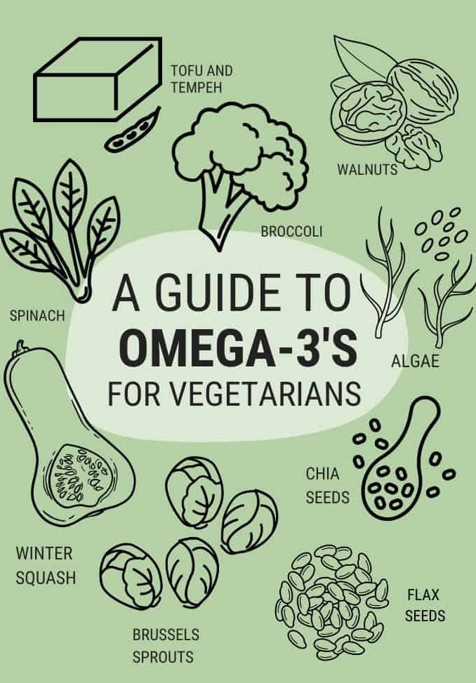 Navigating Omega-3s on a Plant-Based Diet: Tips for Vegans and Vegetarians - omega3index.shop