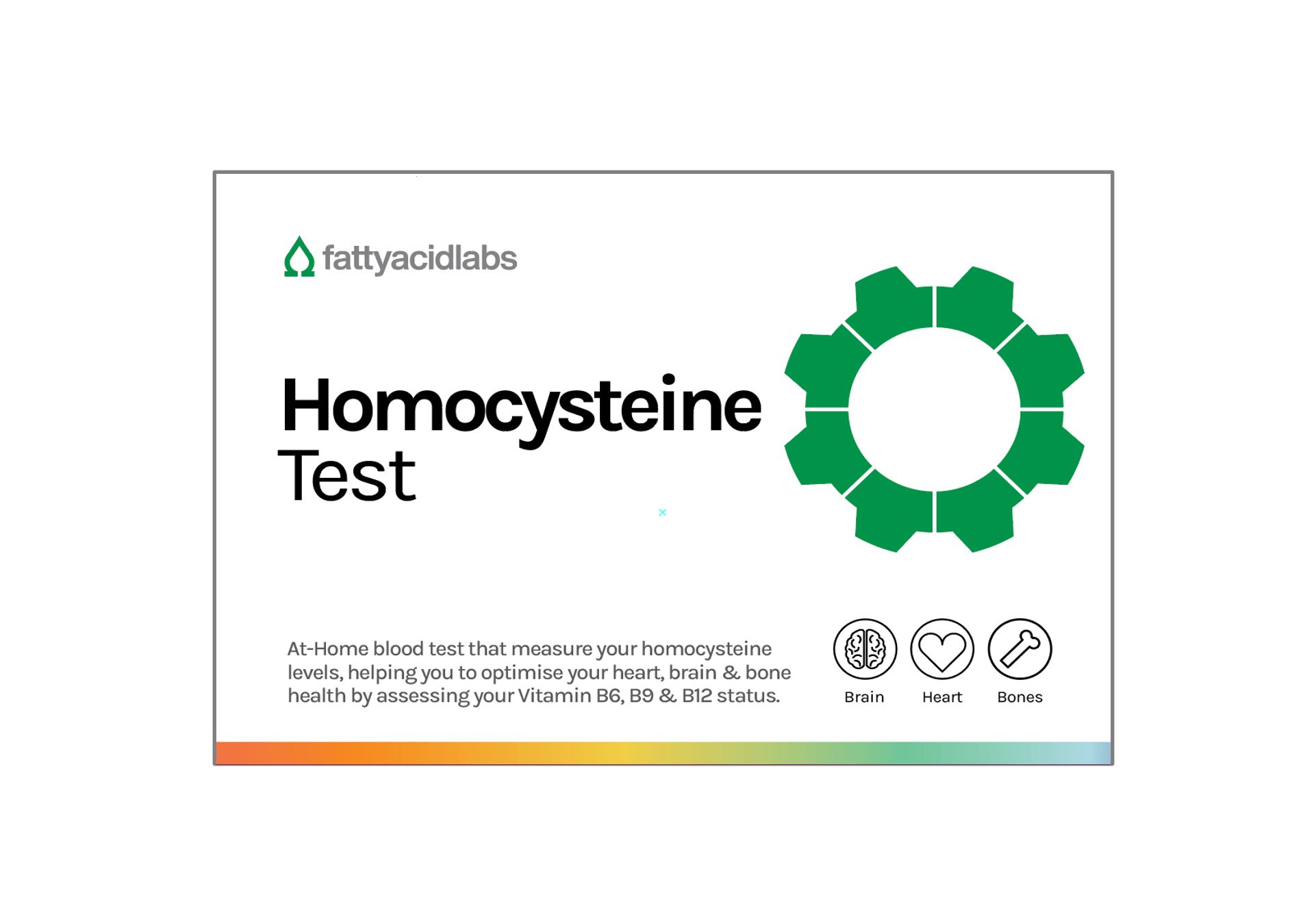 Everything You Need to Know About Homocysteine Testing